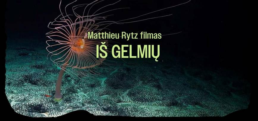 Matthieu Rytz dokumentinis filmas „Iš gelmių“