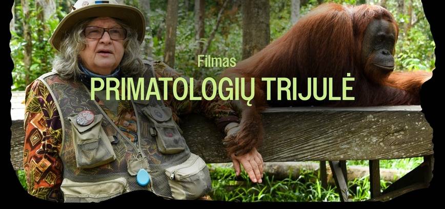 Dokumentinis filmas „Primatologų trijulė“ (2 serija)