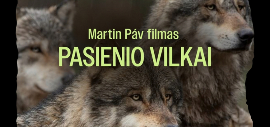 Dokumentinis filmas „Pasienio vilkai“