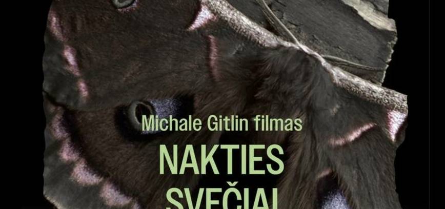 Фильм Михаэля Гитлина «Ночные гости»