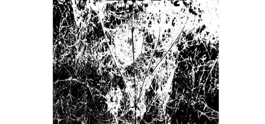 Mākslinieces Aldonas Butkuvienes darbu izstādes prezentācija