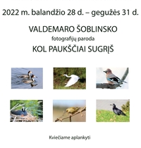Fotoausstellung von Voldemar Šoblinskas „Bis die Vögel zurück“