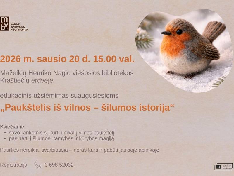 Educational activity for adults "A bird made of wool - a story of warmth"