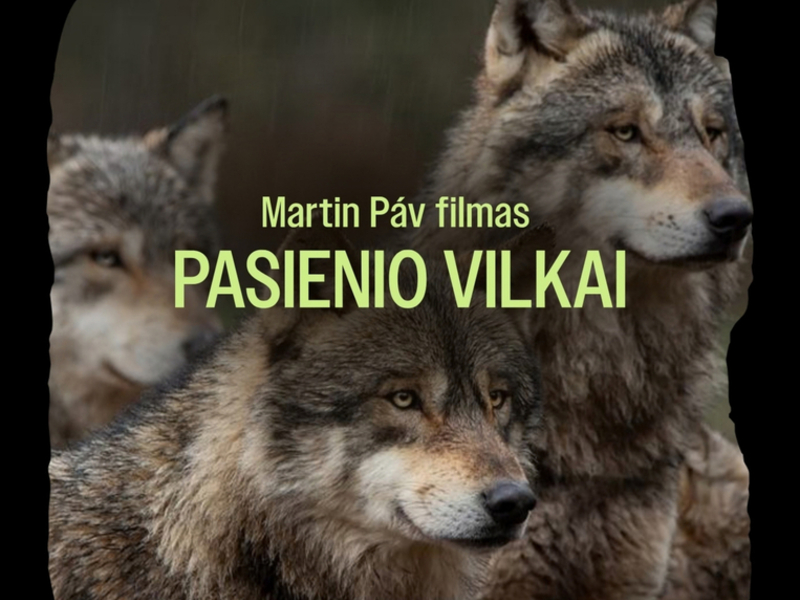Dokumentinis filmas „Pasienio vilkai“
