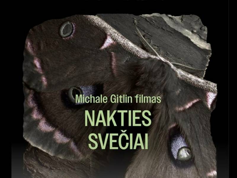 Michale Gitlin filmas „Nakties svečiai"