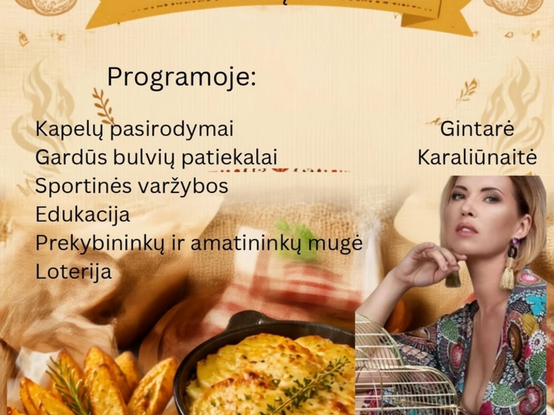 Bulvių fiesta Šerkšnėnuose